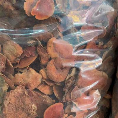 六顺生物科技浏阳(先农生物科技有限公司)
