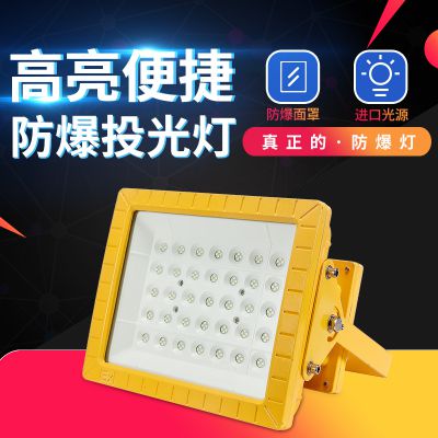 SW8131 led100w_̼led