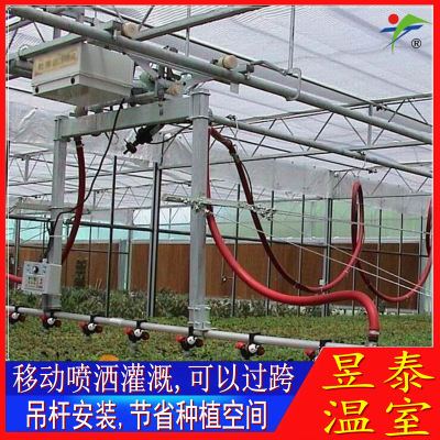 移动喷灌机蔬菜花卉育苗节水灌溉设备昱泰温室大棚材料YTWSPG1671