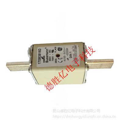 ӦBUSSMANN۶170M3816 250A 170M3817 31***