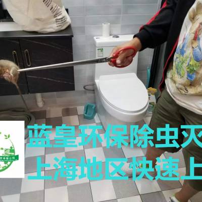 除虫灭鼠服务 上海效果好的除四害公司 快速上门 病虫害***