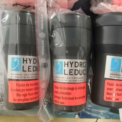 HYDRO-LEDUC力度克微型柱塞泵LEDUC厂家PF56.5-0523400下单立发