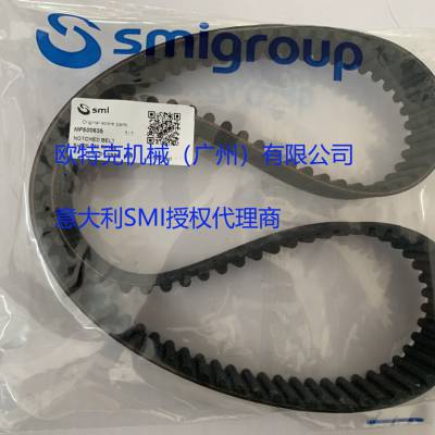 ӦMF500195 Ƥ SMIװ