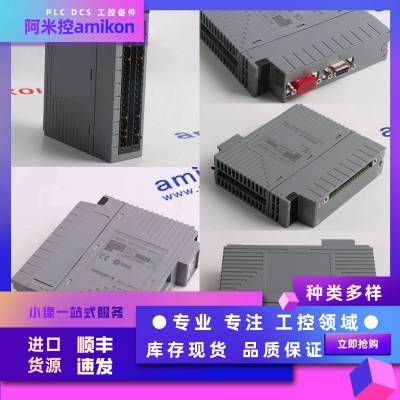 DCSϵͳAAI143-S50 S1ģģ|ƷӦ