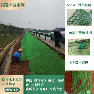 领翔三维植被网 河道治理护坡 塑料土工网 绿色固土三维网
