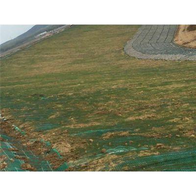 锡林郭勒盟生态护坡植物纤维毯-植物纤维毯-生态护坡草毯
