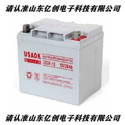 USAOK山特科星蓄电池UD24-12 12V24AH营销中心UPS/EPS直流屏适用
