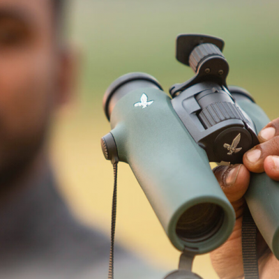 施华洛世奇望远镜高清高倍充氮双筒防水观鸟镜nlpure8x42