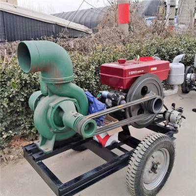 电启动柴油抽水泵 农田灌溉浇地机 300型离心泵 金佳