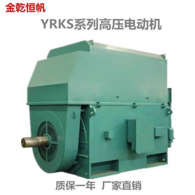 泰富西玛高压电动机YRKS8009-4 5600KW 10KV B3 IP54绕线高压电机***