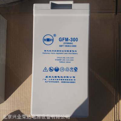 ¡GFM-3002V300AHֱ
