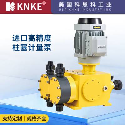 进口高精度柱塞计量泵 多规格可选可定制 美国KNKE科恩科品牌