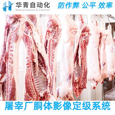 猪肉胴体分级系统 猪肉胴体探针和影像定级