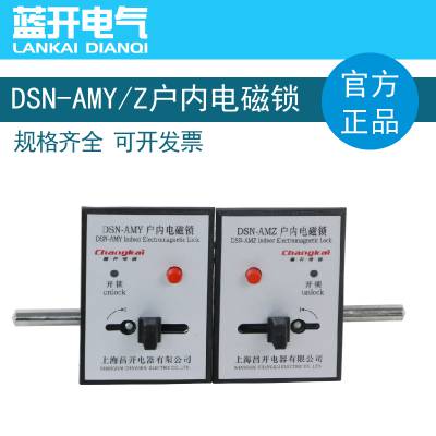  DSN-AMZ DSN-AMYϵлڵDSN-AMZ DSN-AMY