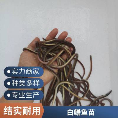 ۷ˮ 糤ڳ Ʒ*** ڶٶȿ