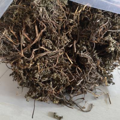 正宗一朵云多少钱一朵云全国供应