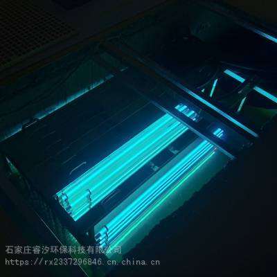 RZ-UV2-LS100ˮ豸ˮɱģ