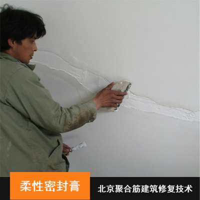 供应加气块墙体裂缝修补材料 高粘度A12柔性密封膏