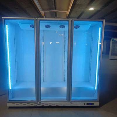 饮料啤酒展示柜冷藏冰柜商用冰箱冷柜立式保鲜柜玻璃门冷藏柜风冷