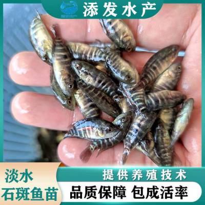 糡 ˮʯ ṩֳָ