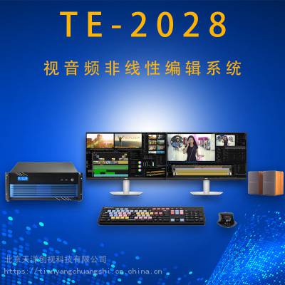 TE2028Ա༭ϵͳڼվ