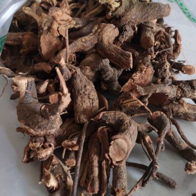 中药材大红袍用法用量大红袍药理作用大红袍药用价值