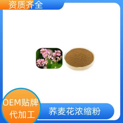 荞麦花浓缩粉 多种含量规格 水溶性好 无沉淀 10:1 30:1多种规格