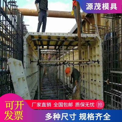管廊箱涵现浇塑料模板 源茂立式方涵模具电力管廊模板