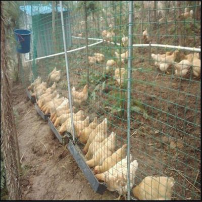 养殖护栏网 铁丝网围栏 饲养牲畜围网