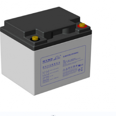 理士阀控密封式铅酸免维护电池DJM1238S
