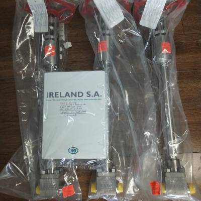 法国爱兰德Ireland Valves 低温阀186745 DN150 PN100