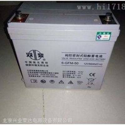 ˫6-GFM-50/12V50AHֻ ֱ
