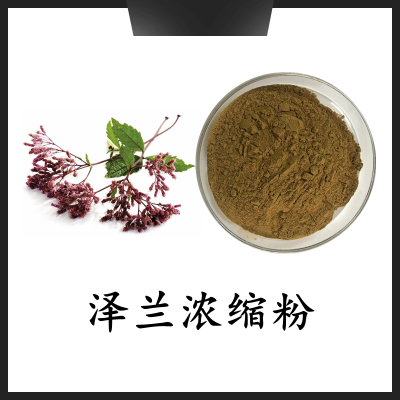 泽兰浓缩粉 斯诺特生物 可定制生产 泽兰浸膏粉