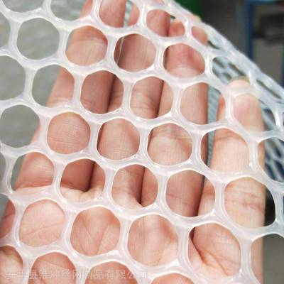 塑料育雏栏网 塑料网图片厂家 西安拦鸡塑料网