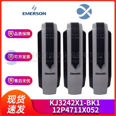 EMERSON艾默生 VE4001S2T2B3控制模块 PLC/DCS备件