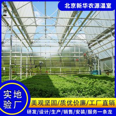 纹络型阳光板温室 定制阳光板温室大棚 贵州蔬菜种植大棚 新华农源