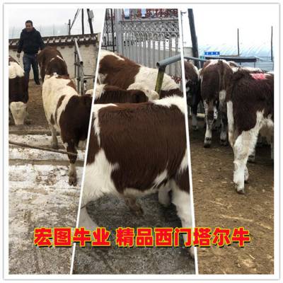 5µ ţ ļǮ