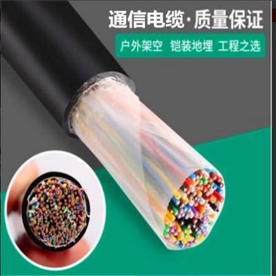 HJVV 20*2*0.4 50*2*0.6 30*2*0.5局用电话电缆 交换机连接线 天联牌