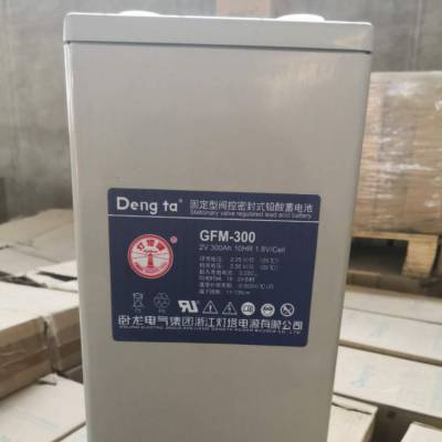  GFM-500 2V500AHά ֱ  ͨŵԴ