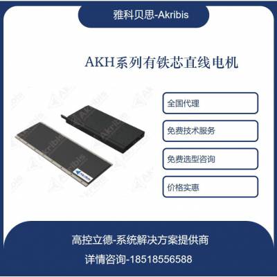 ֱߵ AKH100-W-L-B2-DE-NF-005-FF-0RB ֻ֧