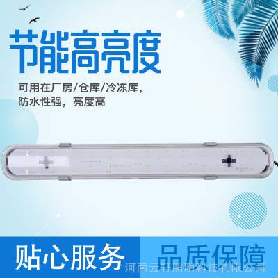 60公分LED一体化冷库灯 pc灯罩长条灯低温库专用亮度高led三防灯