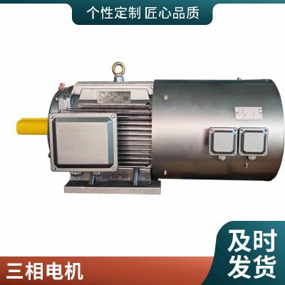 西安厂家直供西玛电机 YE3-355M2-10-132KW高效节能电机，三级能效标准