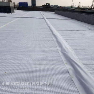 萍乡市 排水板 全新料排水板