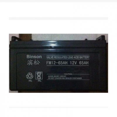 BINSONFM200-12ʽǦά12V200AHܴ۸