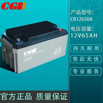 长光CGB蓄电池CB121000 12V100AH直流屏 UPS EPS电源