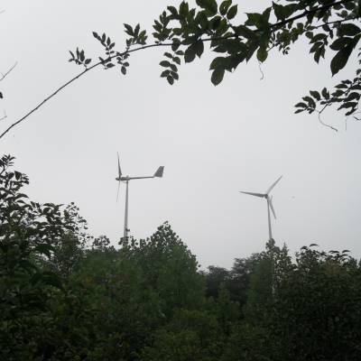 枣庄市晟成2000瓦 三相交流风力发电机足功率风力发电机