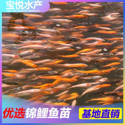 Ϲͽ緱ֳ