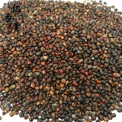 枳椇子用法用量枳椇子功能主治枳椇子药用价值