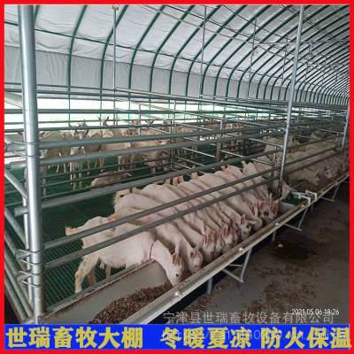 山羊养殖棚搭建 保温羊棚建设 钢架养羊棚施工厂家