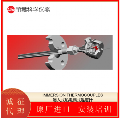 THERMO INDUSTRIAL THERMOCOUPLES 工业用热电偶式温度计